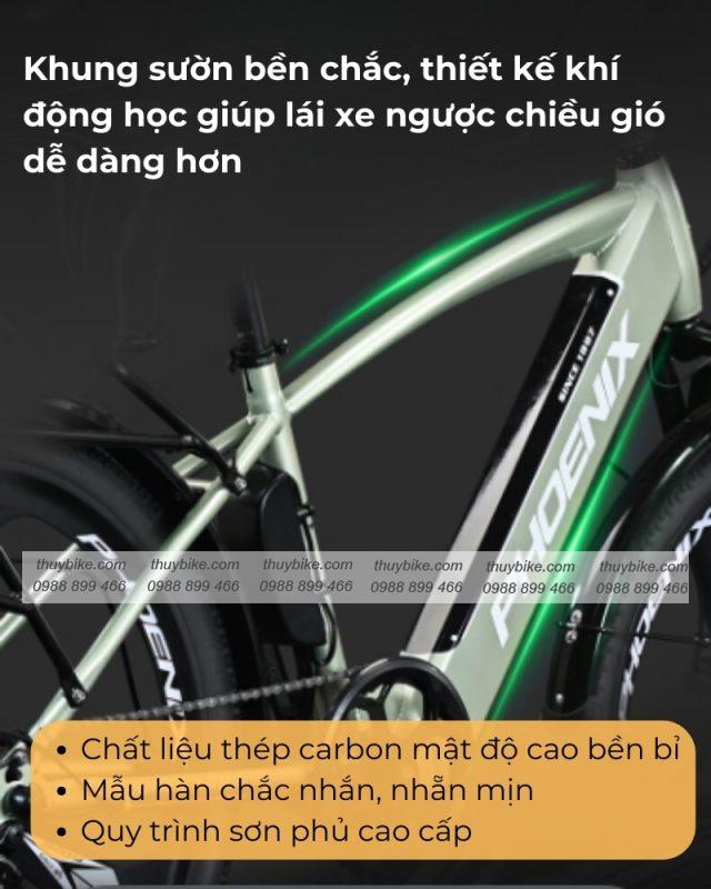 xe dap tro luc dien phoenix g2 3