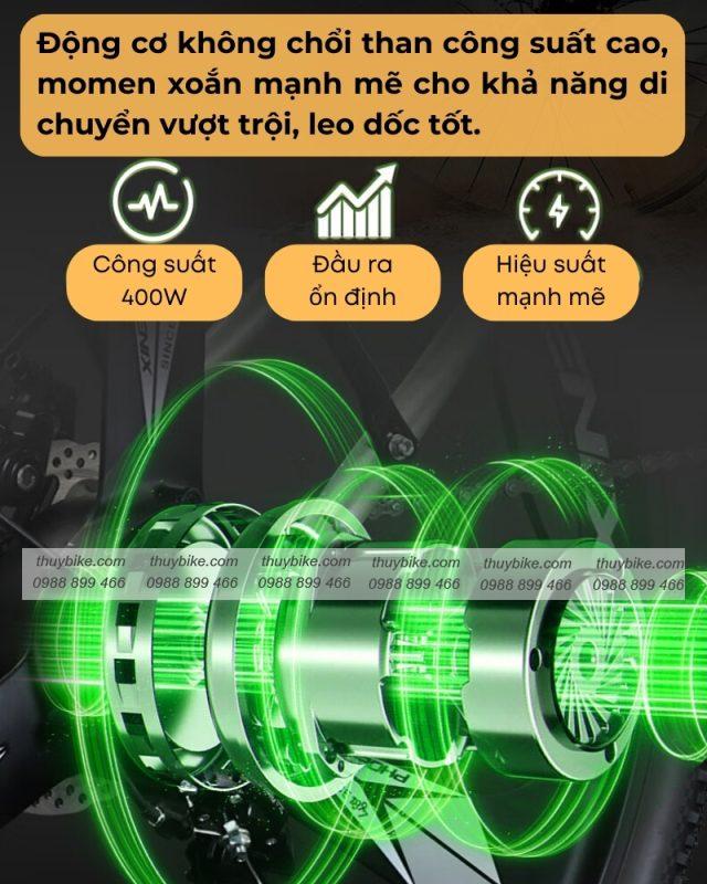 xe dap tro luc dien phoenix g2 6