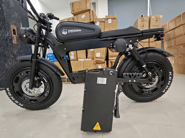 Xe đạp trợ lực điện Fission F1 31 10