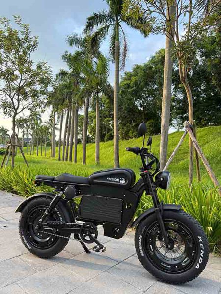Xe đạp trợ lực điện Fission F1 33 14