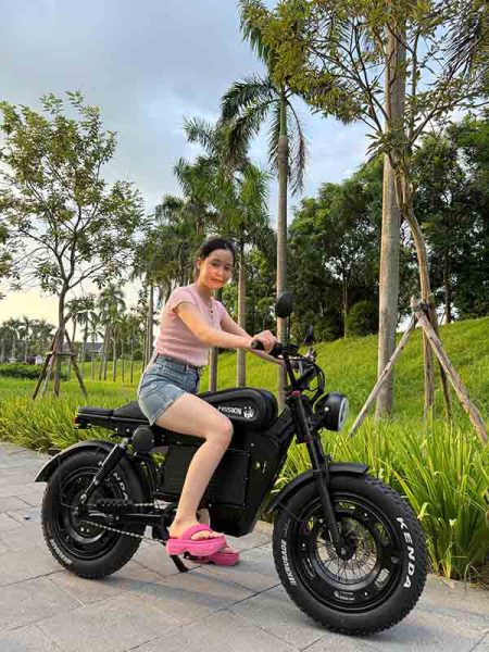 Xe đạp trợ lực điện Fission F1 30 15