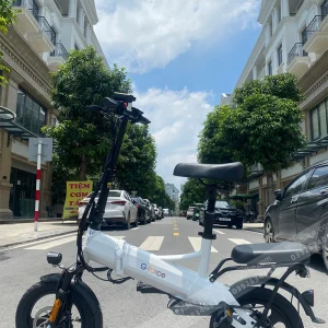 Xe đạp điện G-Force G14