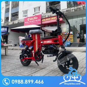 Xe đạp điện gia đình THELI 3 ghế ngồi, gấp gọn