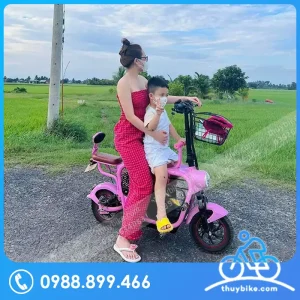 Xe đạp điện gia đình LIHAZE