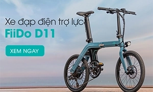 Thuybikes 14 FiiDo-D11