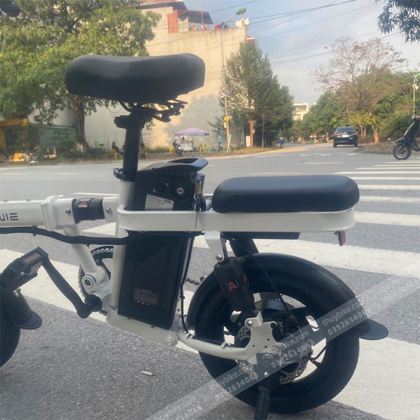 Xe Dap Dien Engwe T14 Thuybike (2)