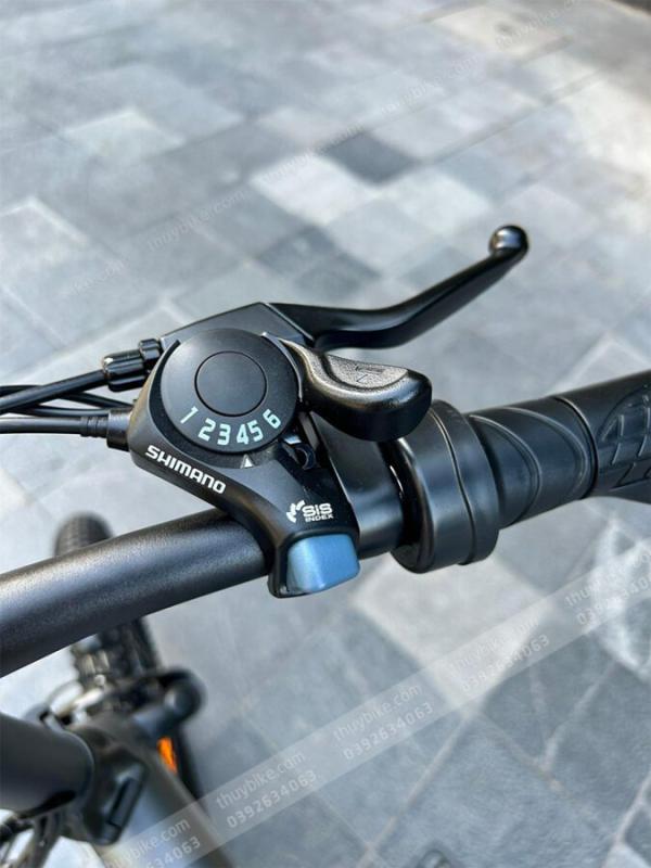 Xe Dap Dien Himo Z20 Thuybike (4)