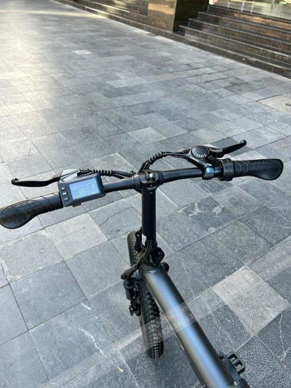 Xe Dap Dien Himo Z20 Thuybike (5)
