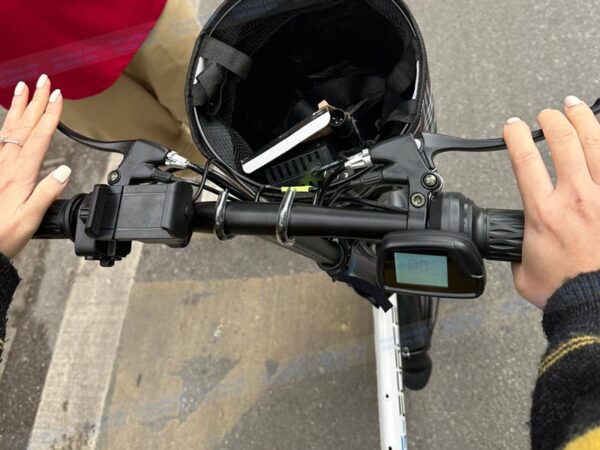 c14promax 3