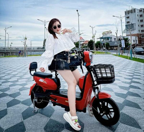Xe đạp điện Gicinu SK8