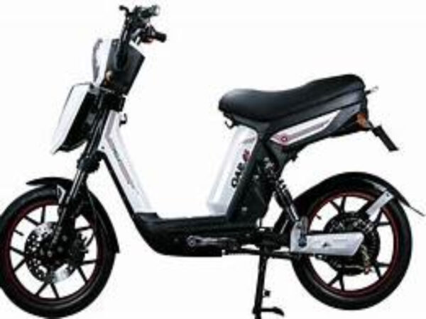 th fotor 20240618162225