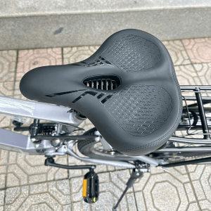 Xe đạp trợ lực điện thể thao Phoenix M16 Vành Nan Hoa 11 sp 5