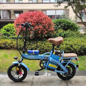 Xe đạp điện trợ lực LIHAZE gấp gọn tiện lợi 20 Lihaze gap ANH DUONG