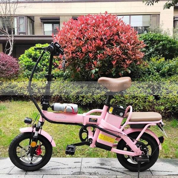 Xe đạp điện trợ lực LIHAZE gấp gọn tiện lợi 10 Lihaze gap HONG NHAT