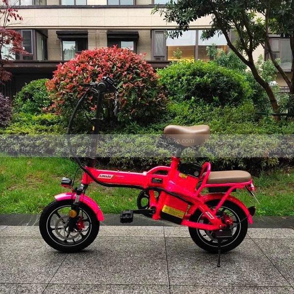 Xe đạp điện trợ lực LIHAZE gấp gọn tiện lợi 6 Lihaze gap HONG