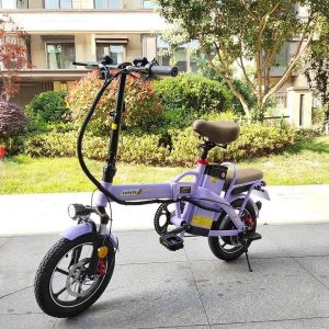 Xe đạp điện trợ lực LIHAZE gấp gọn tiện lợi 22 Lihaze gap TIM