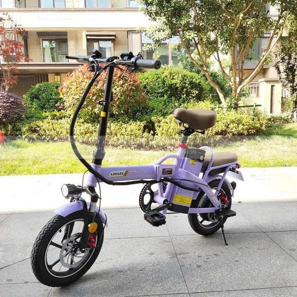 Xe đạp điện trợ lực LIHAZE gấp gọn tiện lợi 11 Lihaze gap TIM