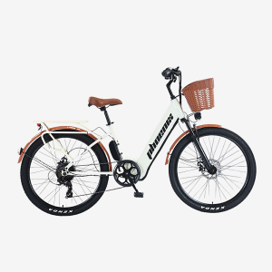 Thuybikes 21 xe dap tro luc dien phoenix c1 2