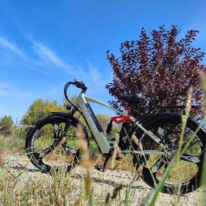 z5836790361349 61aaebdec4814e2f278b54bde0f88191