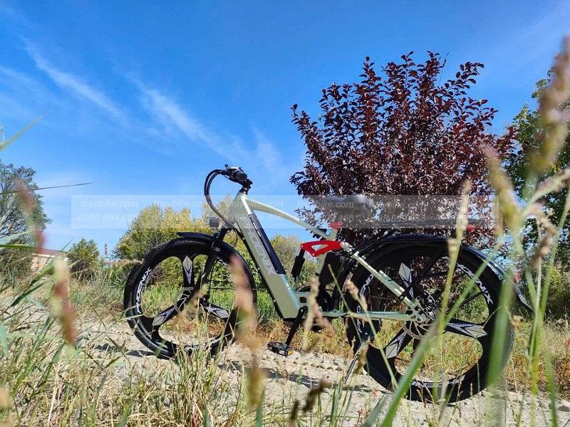 Xe đạp trợ lực điện Phoenix Q1 vành đúc 10 z5836790361349 61aaebdec4814e2f278b54bde0f88191