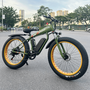 Xe đạp trợ lực Big Shark Châu Âu 2024