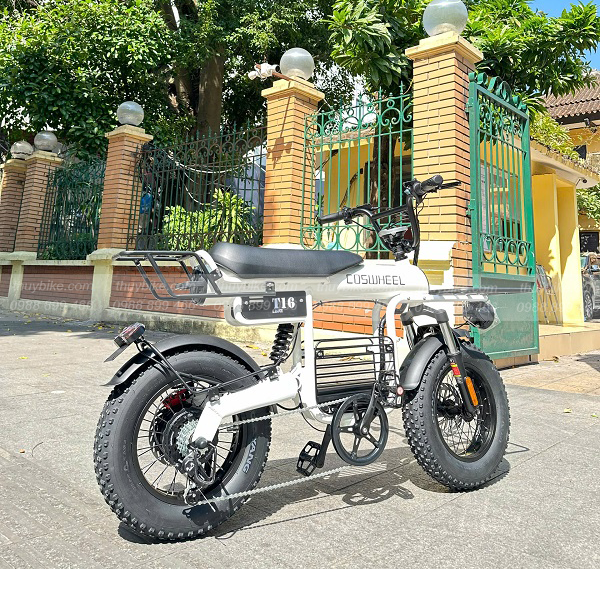 Xe đạp trợ lực điện Coswheel T16 2 11