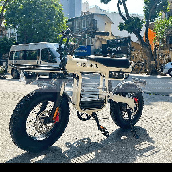 Xe đạp trợ lực điện Coswheel T16 4 333