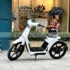 Honda-Cub E