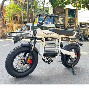 Thuybikes 76 Xe đạp trợ lực điện Coswheel T16