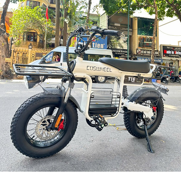 Xe đạp trợ lực điện Coswheel T16 1 Untitled 2
