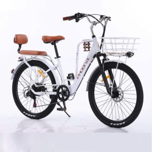 Thuybikes 97 phoenix cf4