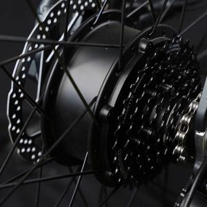 Phoenix LM Supernova 4