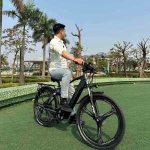 Xe đạp trợ lực điện Phoenix M16 vành đúc