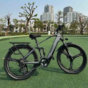 Xe đạp trợ lực điện Phoenix M16 vành đúc