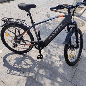 Xe đạp trợ lực điện Phoenix 555 9 z6535662191881 850df61b03bf0c672df8a33242821043