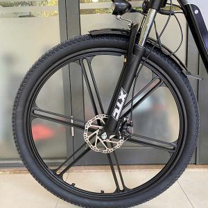 Xe đạp trợ lực điện Phoenix M19