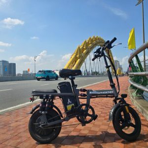 Thuybikes 85 Xe Đạp Trợ Lực Điện Phoenix M1