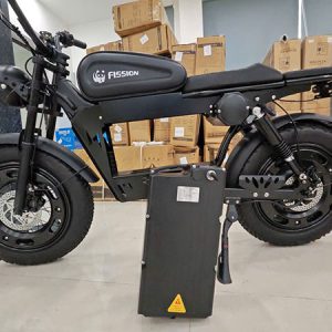 Xe đạp trợ lực điện Fission F1 22 10