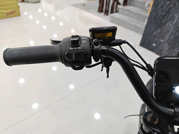 Xe đạp trợ lực điện Fission F1 10 11