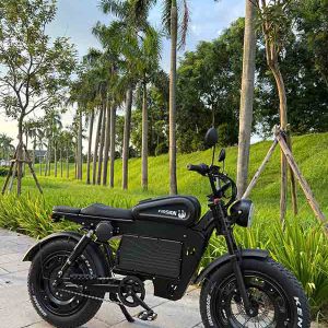 Xe đạp trợ lực điện Fission F1 26 14