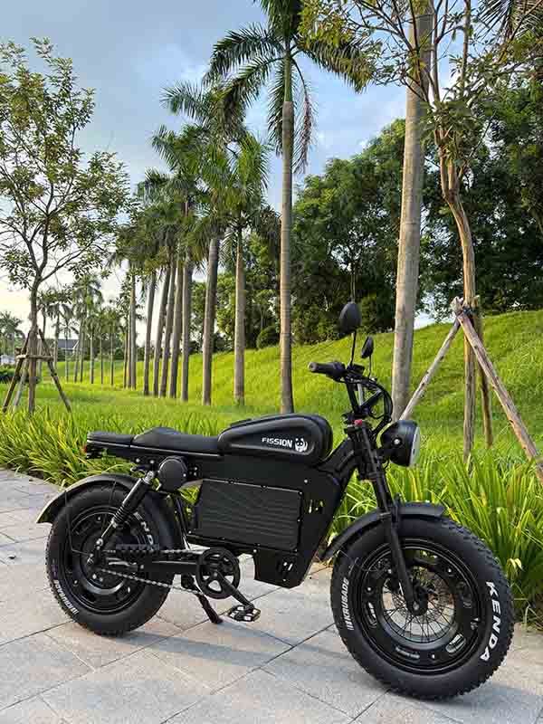 Xe đạp trợ lực điện Fission F1 13 14