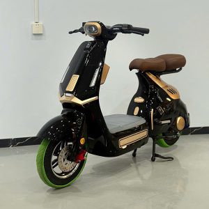 Xe điện LYDEVO STAR