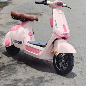 Xe điện LYDEVO STAR