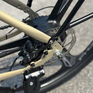 Thuybikes 83 Phoenix LG