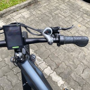 Xe đạp điện trợ lực Nathaniel 10 xe dap tro luc dien nathaniel 2