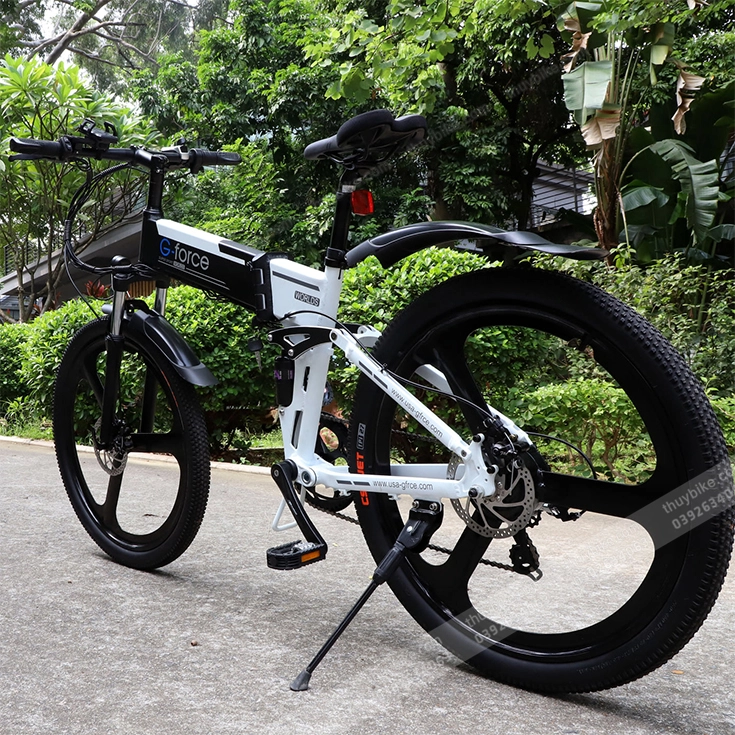 Xe Dap Tro Luc Dien G Force S41 Thuybike (1)