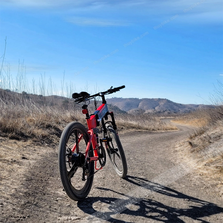 Xe Dap Tro Luc Dien G Force S41 Thuybike (4)