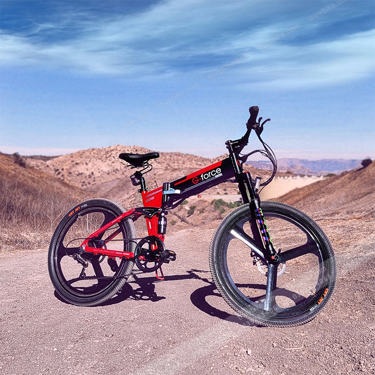 Xe Dap Tro Luc Dien G Force S41 Thuybike (6)
